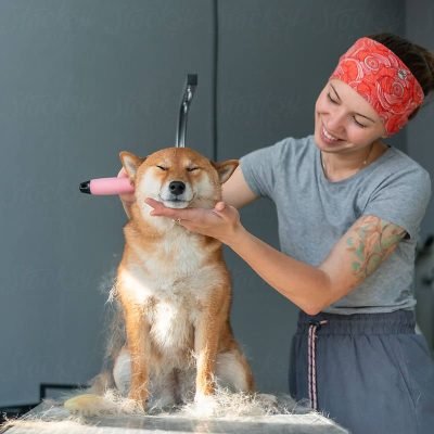 2cc30e87af062d819b2ad4bd57aa48a5